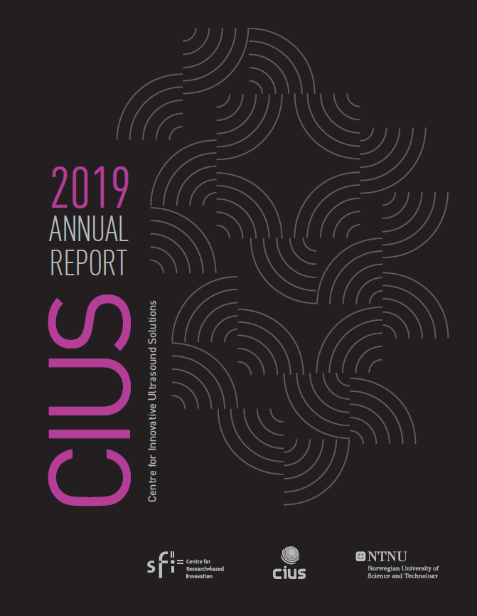 Thumbnail of CIUS annual report 2019