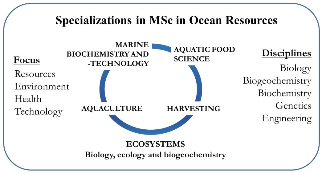 Study Structure - Ocean Resources (Master's Programme) - NTNU