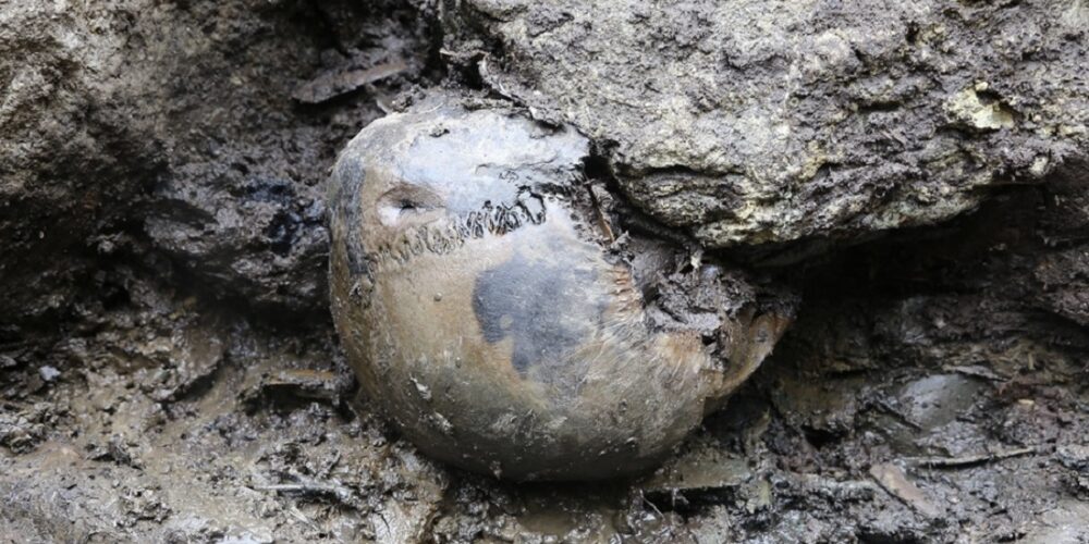 Human skull at the bottom of the well