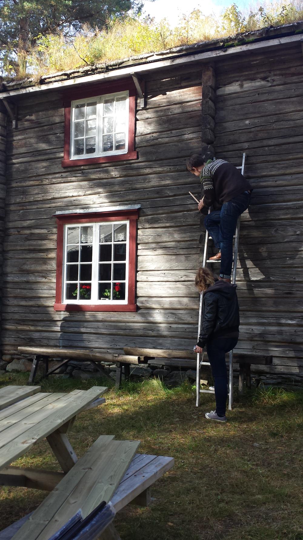 to mennesker klater i stige på et tømmerhus. Foto fra bygningsvernkurs 2015. Tatt av Aud Mikkelsen Tretvik