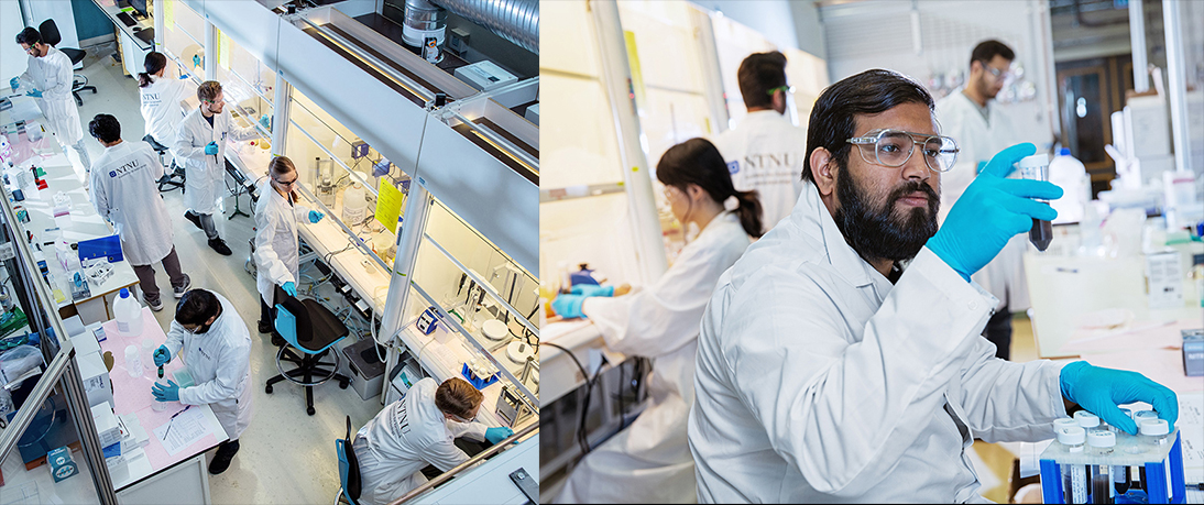 Scientists in white coats in a laboratory, and close-up of a scientist examining a substance in a test tube. Montage of two photos.