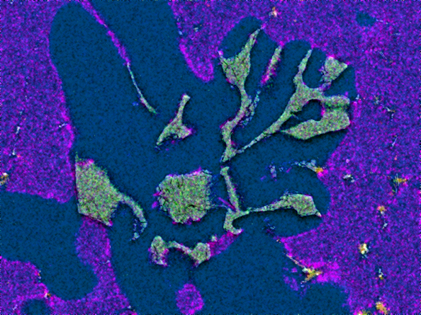 Microspcope picture bottom ash.