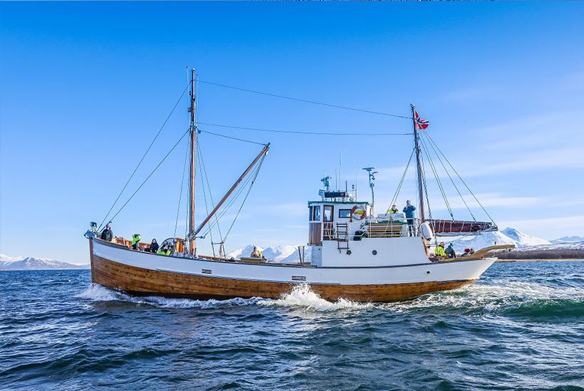 Image shows a vintage fishing vessel used for fjord cruising.