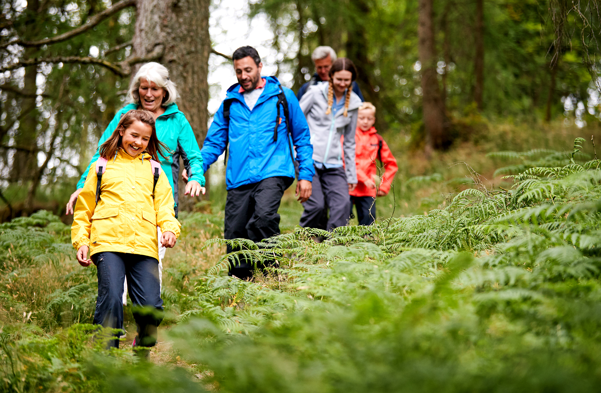 People walking in the forest. Photo: Shutterstock