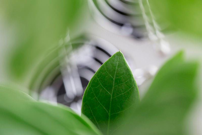 Assembling a wind turbine. Photo: Geir Mogen/NTNU Green leaf. Photo: Geir Mogen/NTNU