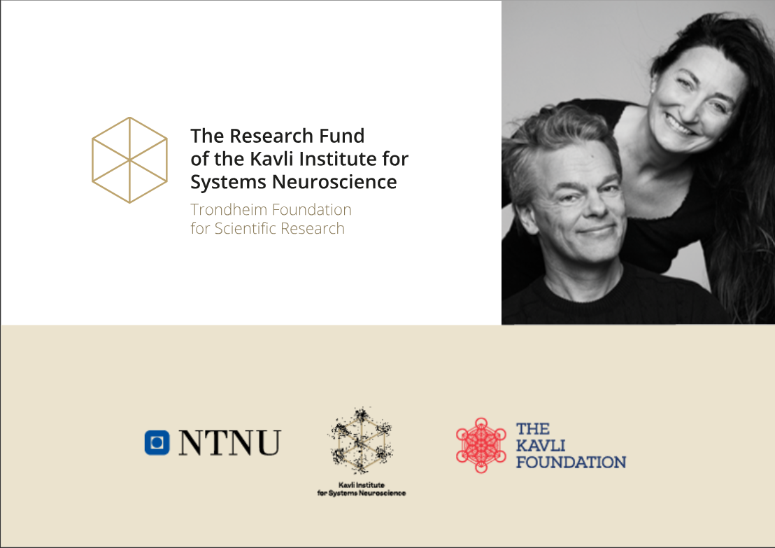 Link to brochure about The Research Fund of the Kavli Institute 