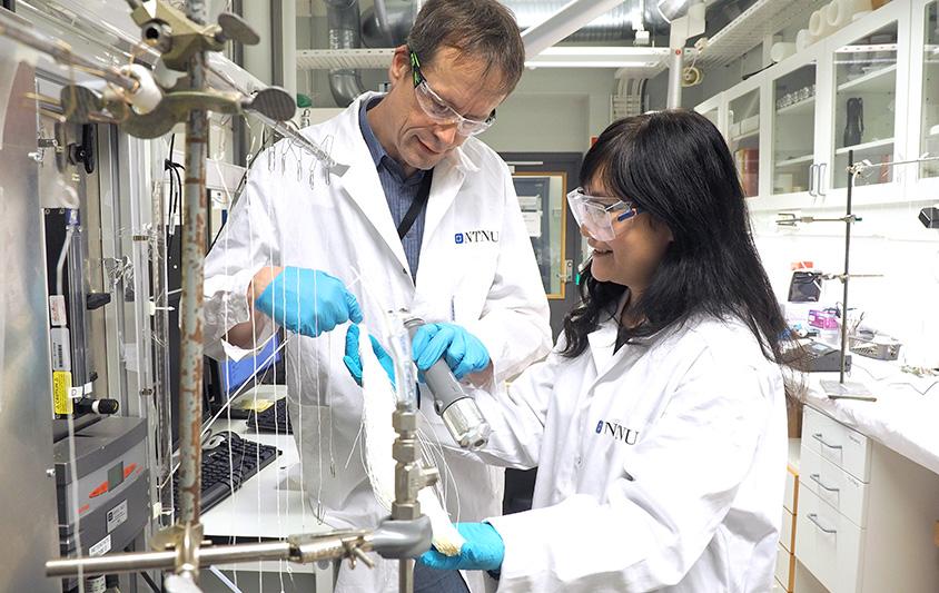  Two researchers working together in the lab. Photo