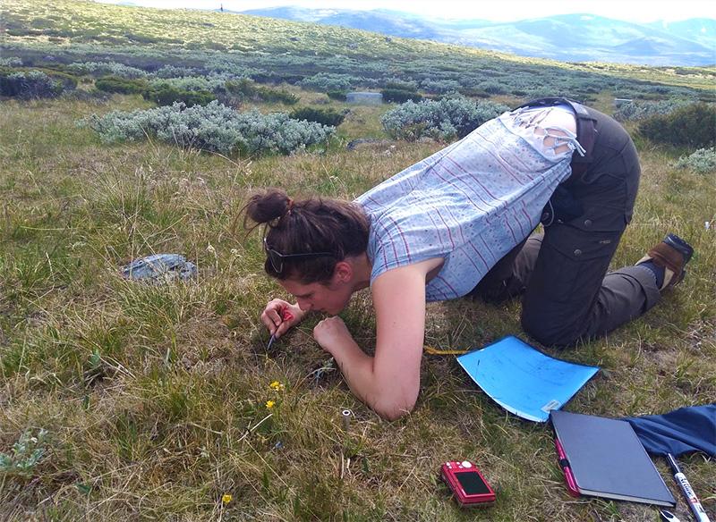 Researcher measuring on the ground. Photo