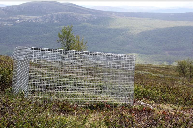 A cage on the tundra. Photo