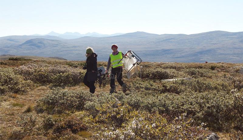 Two researchers walking on the tundra. Photo