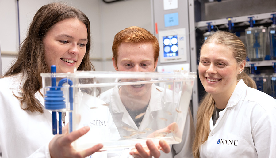 Three students looking at an aquarium with fish in a laboratory