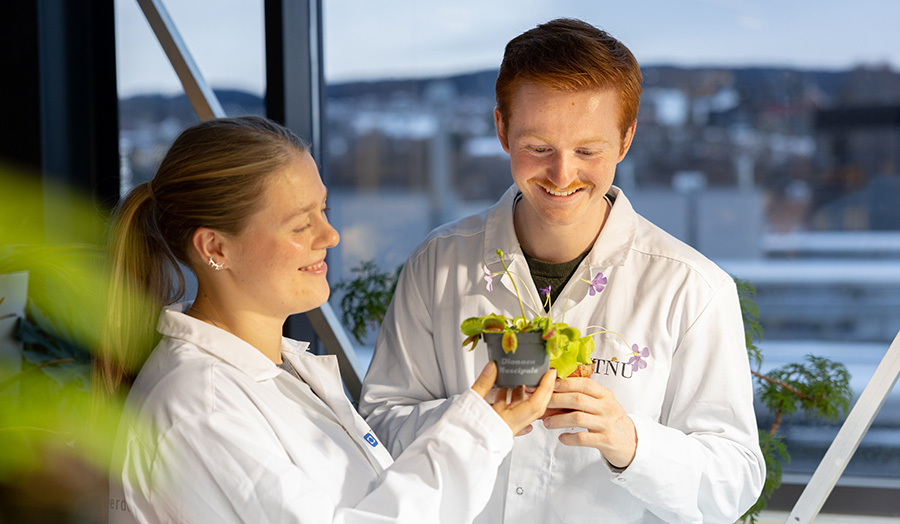 Two students looking at plants together