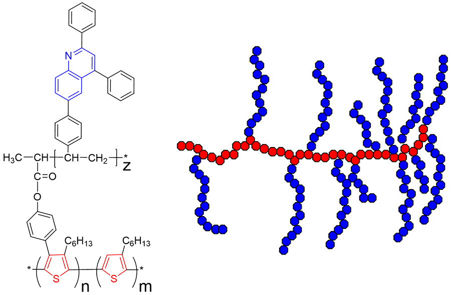 Brush-type polymer. Chemical