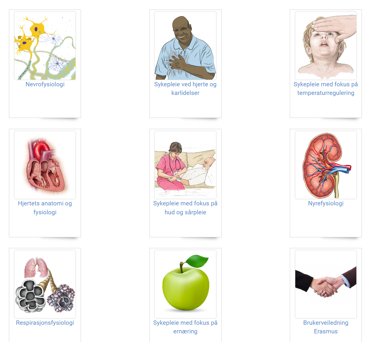 An illustration for the e-learning tool DIMEANE for nursing education