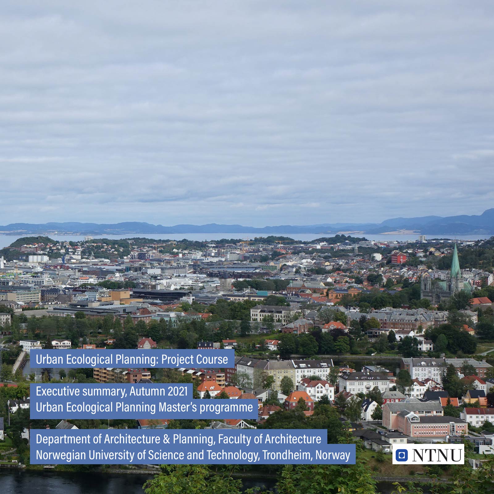 Executive summary Trondheim 2021