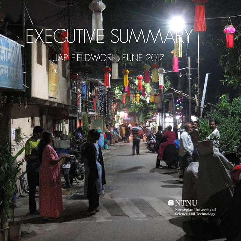 Executive summary Pune 2017