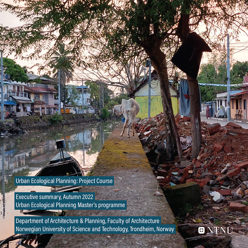 Executive summary Kochi 2022