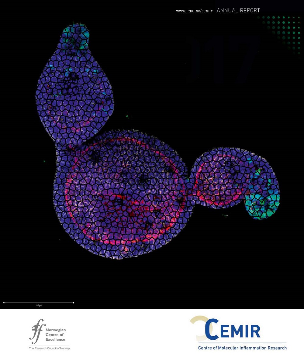 Front page of Annual Report 2017