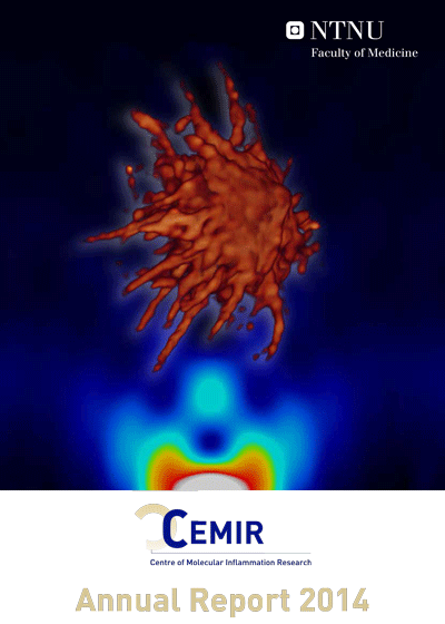 CEMIR Annual Report 2014