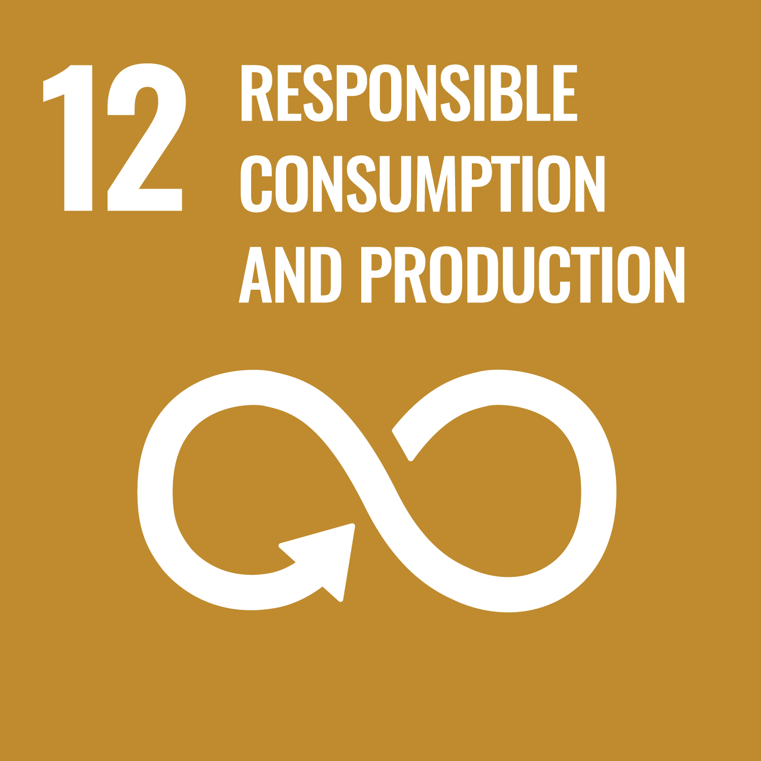 UN sustainable development goal number 12 Responsible consumtion and production. Link to goal number 12.