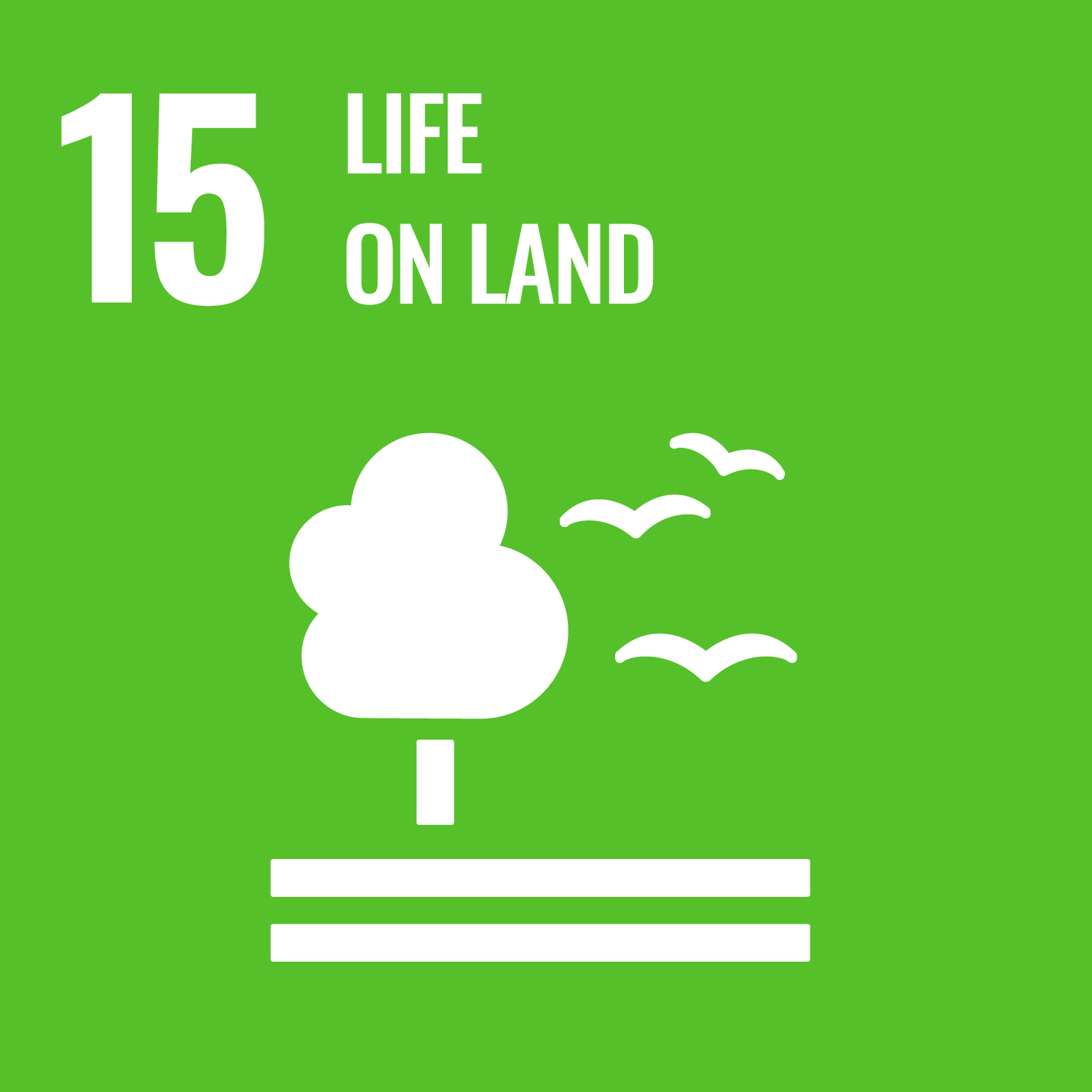 UN sustainable development goal number 15 Life on land. Link to goal number 15.