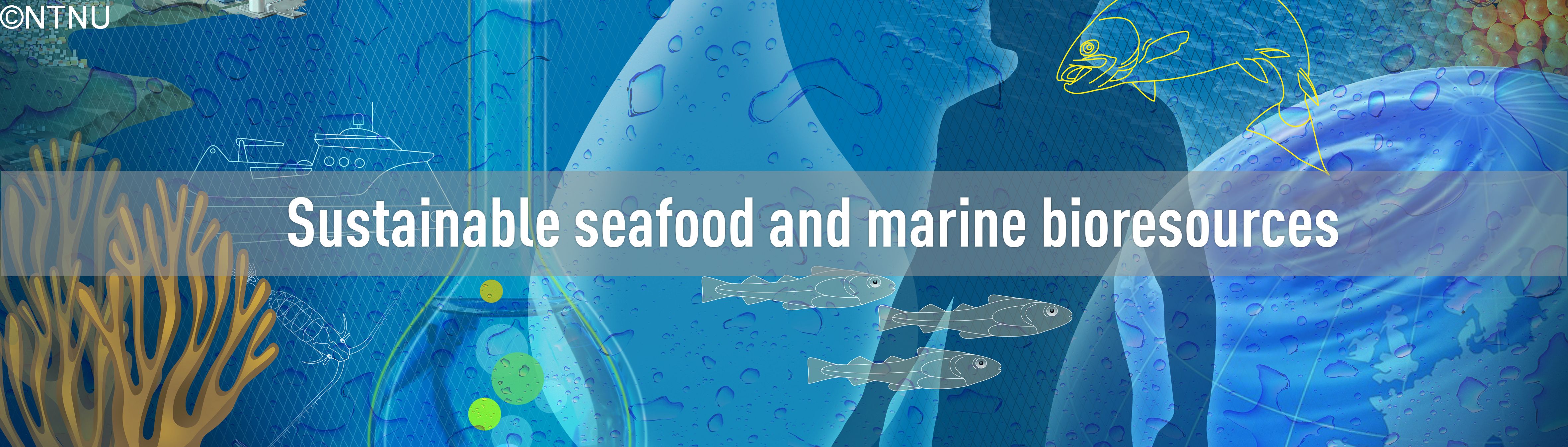 Sustainable Seafood And Marine Bioresources - NTNU Oceans - NTNU